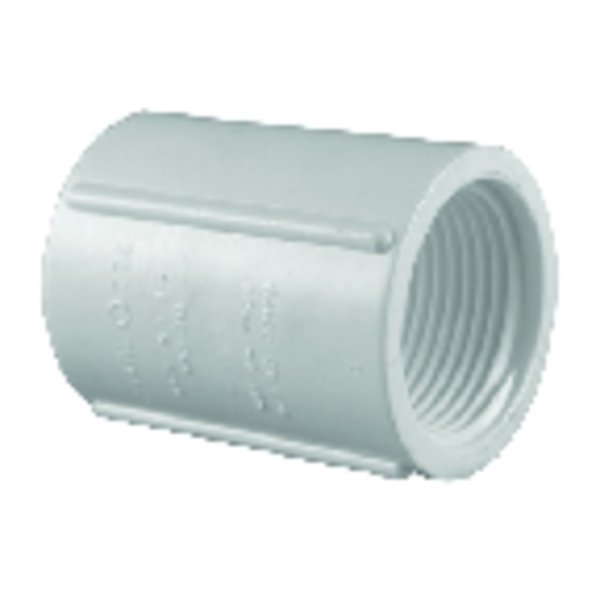 Charlotte Pipe And Foundry Pipe Schedule 40 1/2 in. FPT X 1/2 in. D FPT PVC Coupling PVC 02102 0500